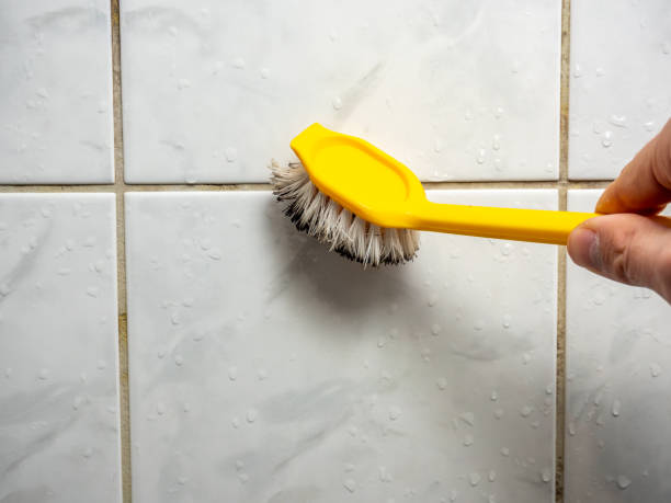 Best Water Damage Restoration  in Elon, NC