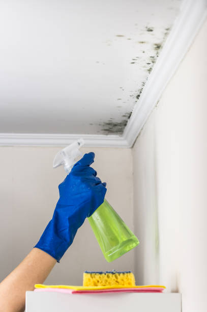 Water Damage Restoration in Elon, NC